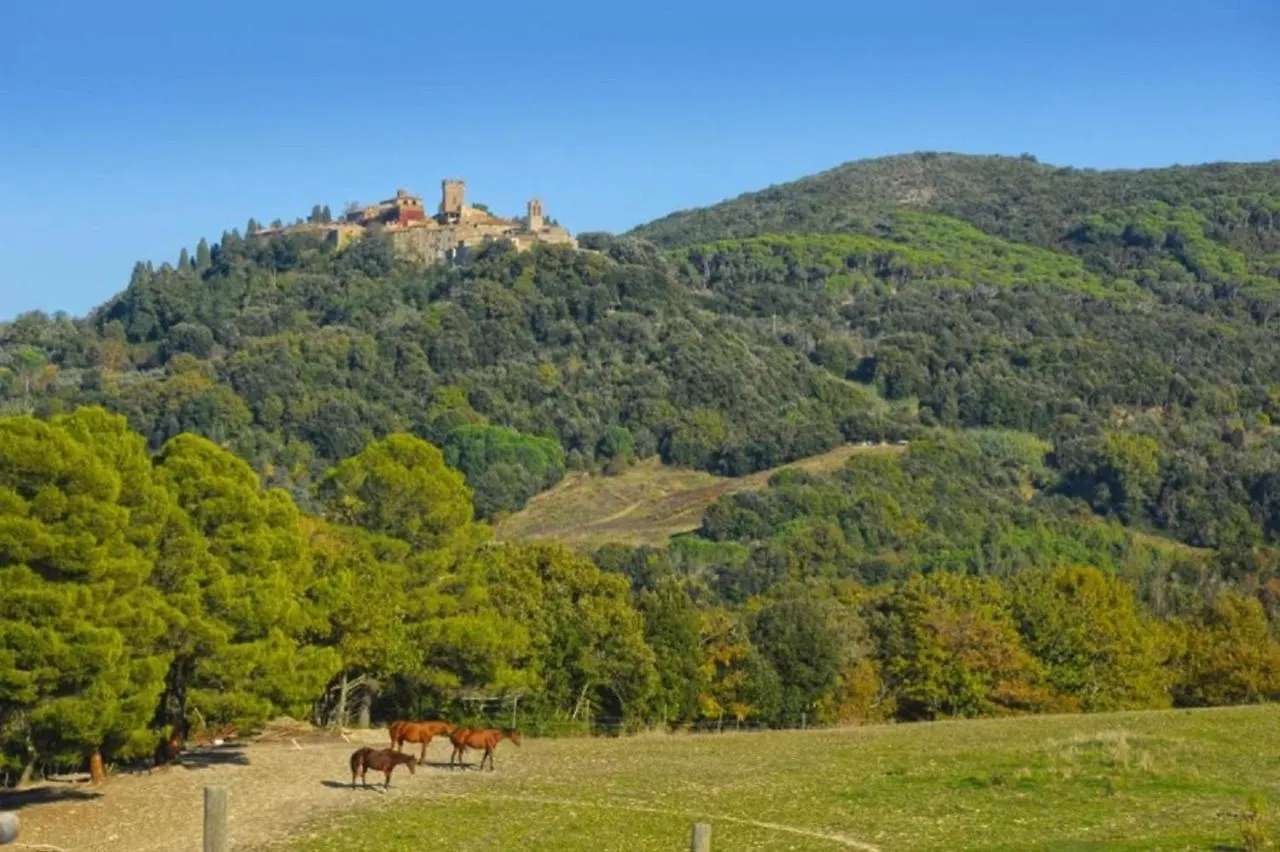 Podere Le Maccagnane 66 Podere Dottrina 0*,